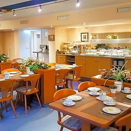 杜塞尔多夫广场酒店 3* 拉廷根
