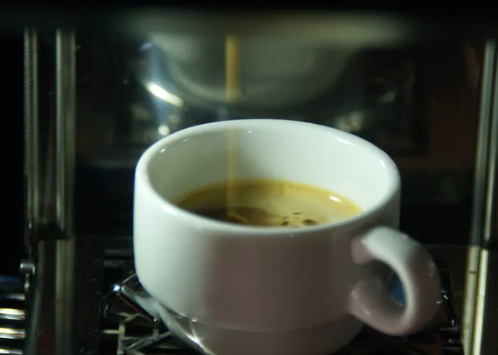 酒店 杜塞尔多夫广场酒店 拉廷根